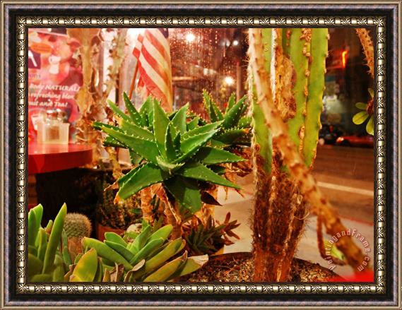 Raymond Gehman San Francisco City Street Seen From Pizzeria Window Lined with Cacti Framed Painting