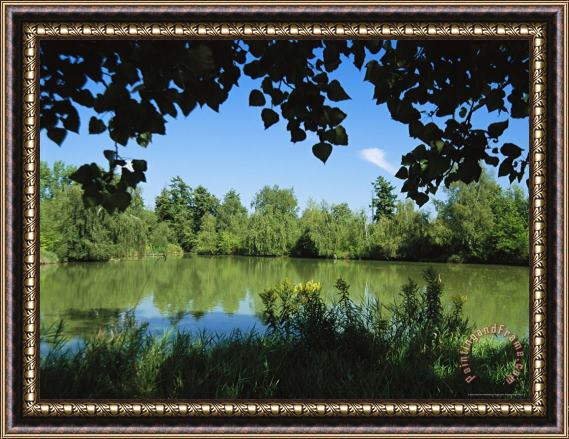 Raymond Gehman Scenic View of a Woodland Pond Or Lake Framed Print