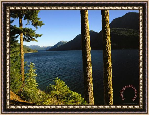 Raymond Gehman Scenic View of Mountains Water And Forests Framed Print
