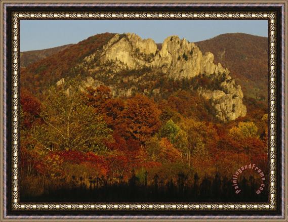 Raymond Gehman Seneca Rocks 900 Feet High with Trees in Autumn Hues Framed Painting