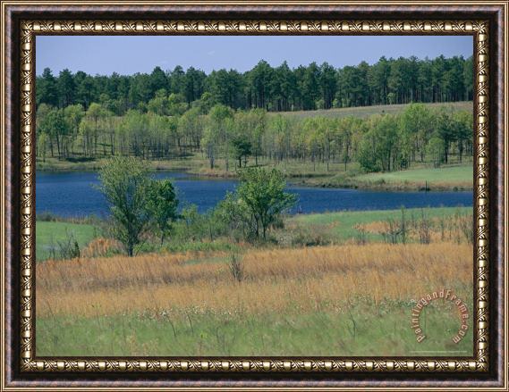 Raymond Gehman Serene Lake with Trees And Grasslands Framed Painting