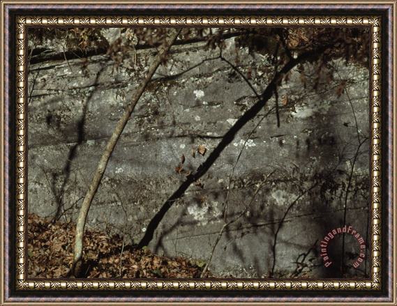 Raymond Gehman Shadows of Trees And Leaves Cast of a Large Boulder Framed Print