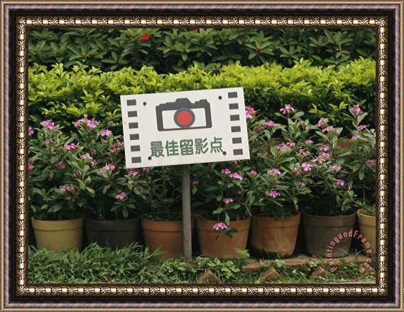 Raymond Gehman Sign in Front of Blooming Plants Indicates a Photo Opportunity Framed Painting