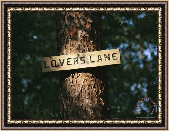 Raymond Gehman Sign on a Tree Marks Lovers Lane Framed Print