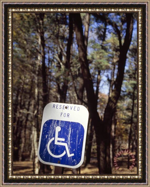 Raymond Gehman Sign Reserving Space for Handicapped Parking at a Day Use Picnic Area Framed Painting