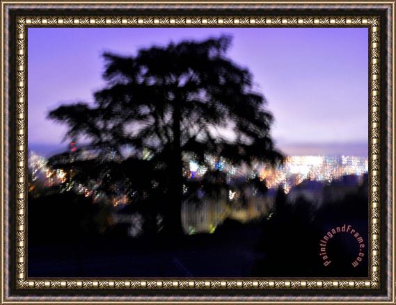 Raymond Gehman Silhouette of Tree with San Francisco in Background Framed Print