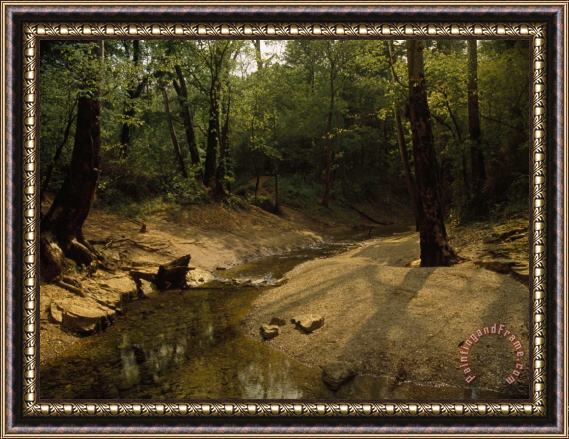 Raymond Gehman Small Creek Along a Forest Nature Trail Near Mammoth Cave Framed Painting