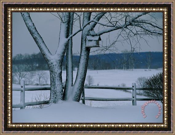 Raymond Gehman Snow Blankets a Tree And Birdhouse Framed Painting