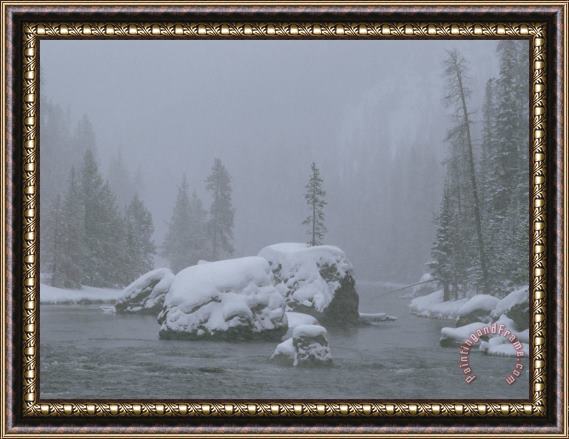 Raymond Gehman Snow Storm Firehole River Framed Painting