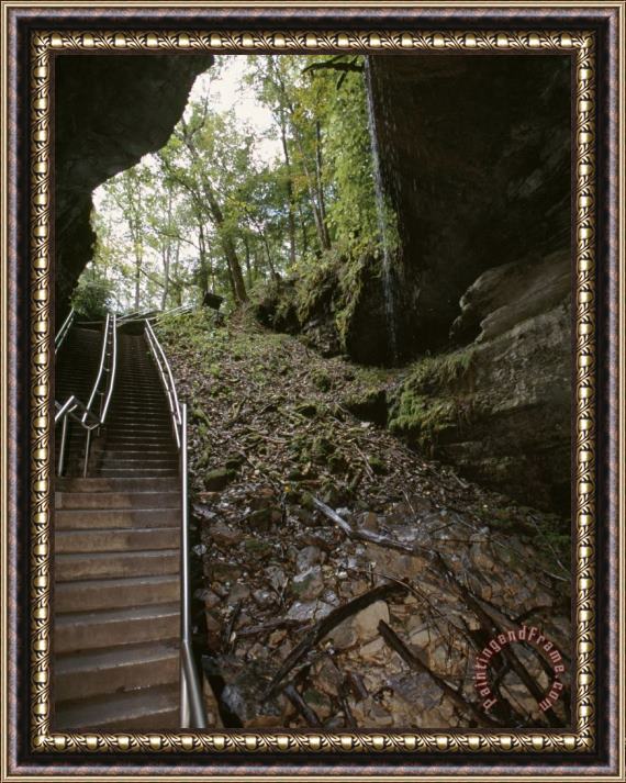 Raymond Gehman Stairway Leading Down Into Mammoth Cave Framed Painting