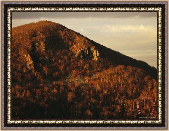 Raymond Gehman Sunrise at Hawksbill Mountain Highest Peak in Park 4 051 Feet Framed Print