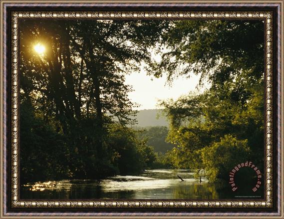 Raymond Gehman Sunset Above a Riparian Forest Bordering The Susquehanna River Framed Painting