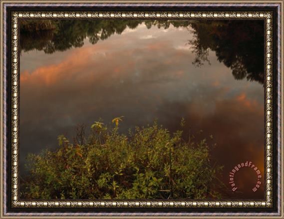 Raymond Gehman Sunset And Cloud Reflections in The Water of Sloans Crossing Pond Framed Print