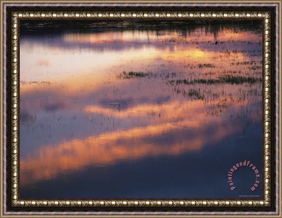 Raymond Gehman Sunset Lit Clouds Reflect on a Lake with Sedges at Twilight Framed Print