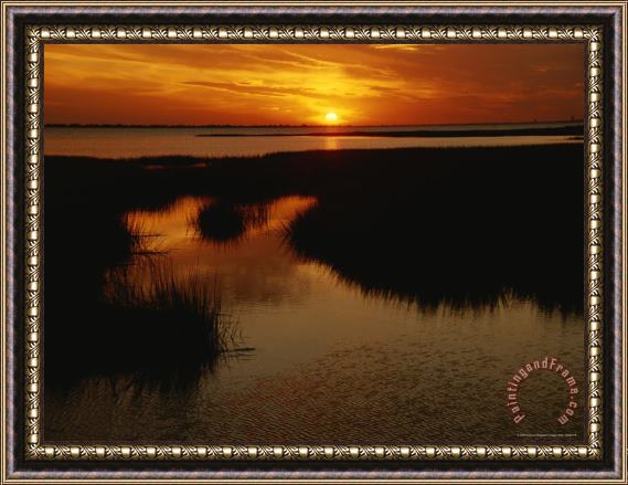 Raymond Gehman Sunset Over a Salt Marsh with Cordgrass Framed Painting