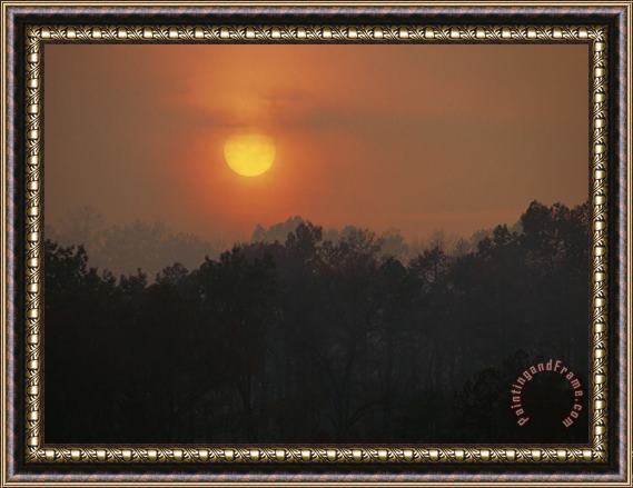 Raymond Gehman Sunset Over Daniel Boone National Forest Framed Painting