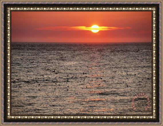 Raymond Gehman Sunset Over The Ocean Framed Painting