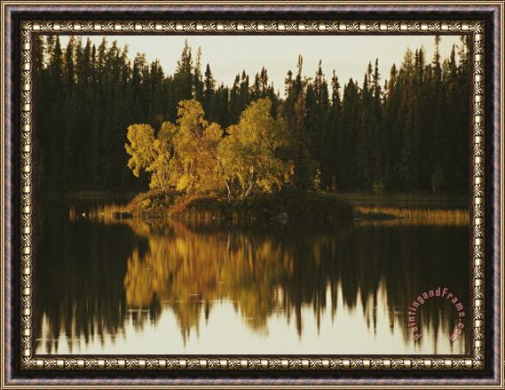 Raymond Gehman Surrounding Forest Is Reflected in The Still Lake Framed Painting