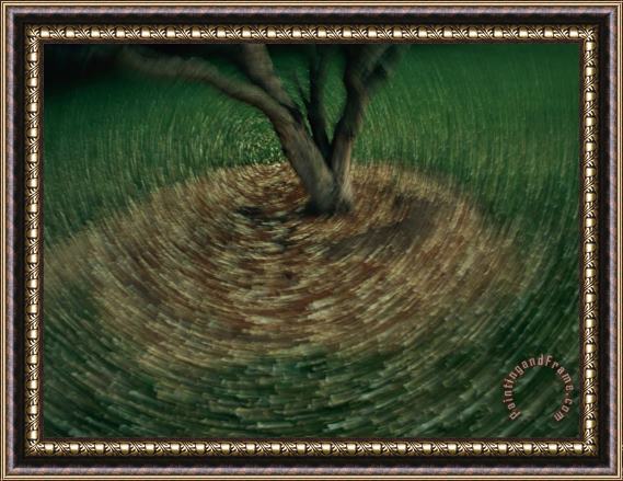 Raymond Gehman Swirls of Light Around a Tree Trunk Framed Painting
