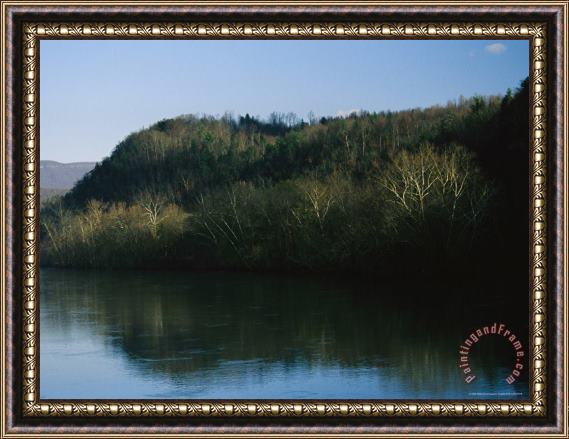 Raymond Gehman Sycamore Trees Grow Along The James River Framed Painting