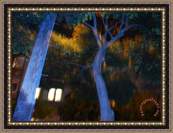 Raymond Gehman Telephone Pole And Tree Along a City Street at Night in San Francisco Framed Painting