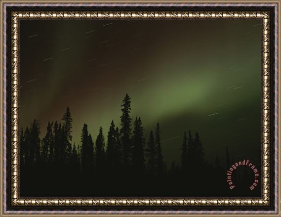 Raymond Gehman The Aurora Borealis Puts on a Light Show Above The Mackenzie River Framed Print