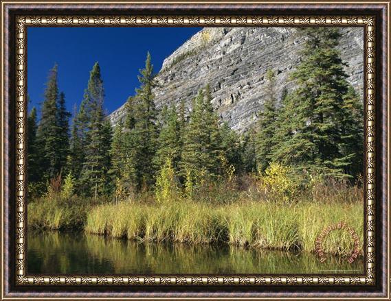 Raymond Gehman The Limestone Face of a Mountain in The Nahanni Range Framed Painting