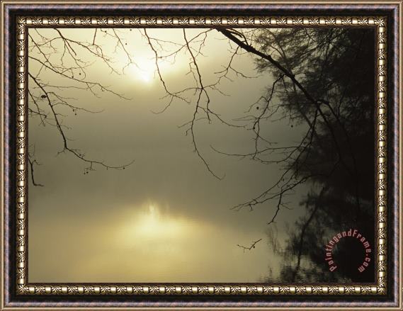 Raymond Gehman The Morning Sun Is Reflected on Otter Lake Framed Print