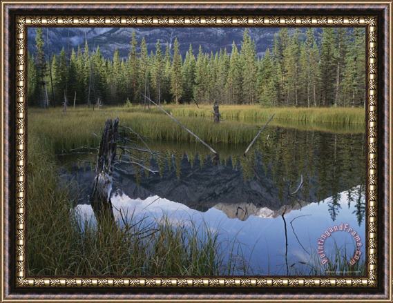 Raymond Gehman The Sawback Range Is Reflected in Marshland Near The Bow River Framed Painting