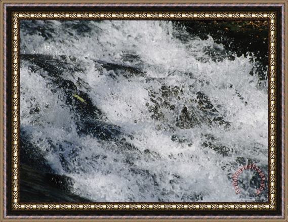 Raymond Gehman The Splash of a Cascading Waterfall in Jefferson National Forest Framed Painting