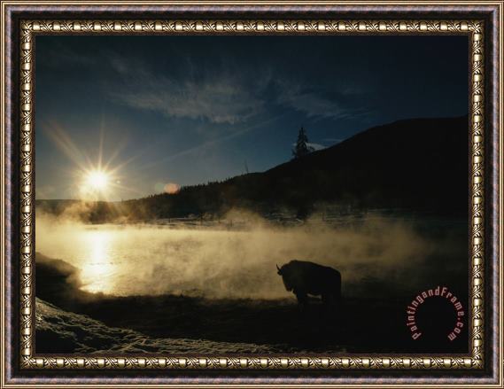 Raymond Gehman The Sun Sets Over a Silhouetted Bison Standing Near a Hotspring Framed Painting