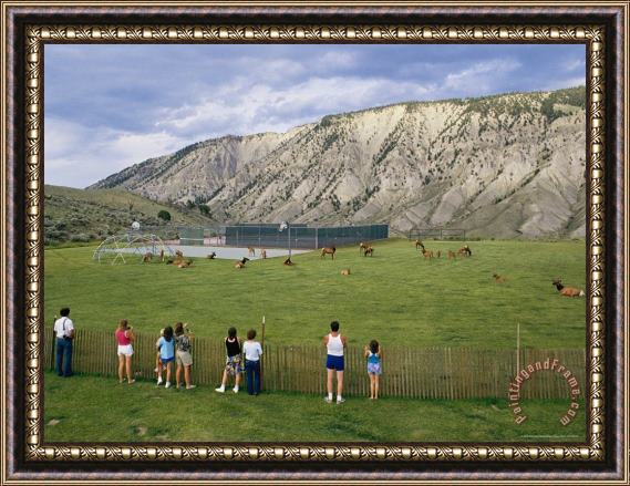 Raymond Gehman Tourists Photograph Elk Or Wapiti Cervus Elaphus in a Playground Area at Park Headquarters Framed Painting