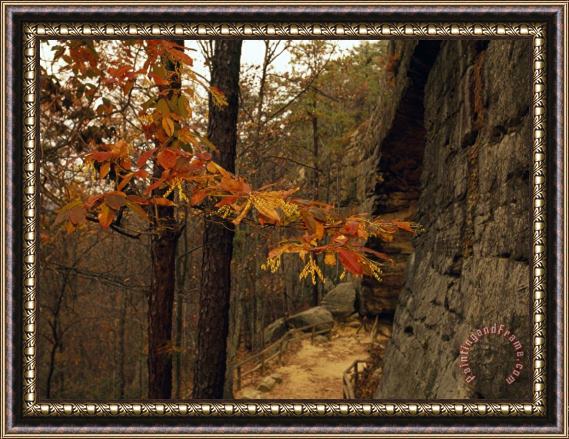 Raymond Gehman Trail Leading Up to a Natural Sandstone Arch Framed Painting
