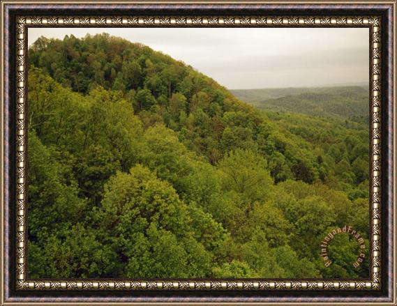 Raymond Gehman Tree Covered Hills with Fresh Foliage in The Spring Framed Painting