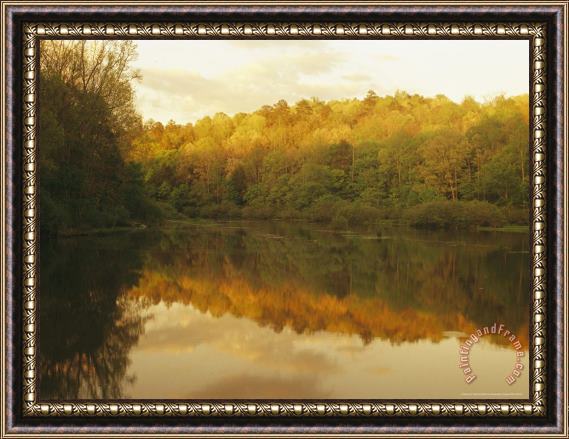 Raymond Gehman Tree Lined Banks Are Reflected on Brushy Lake Framed Print