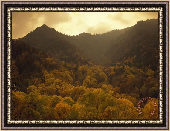 Raymond Gehman Trees in Autumn Hues Covering Ancient Mountain Ridges Framed Painting