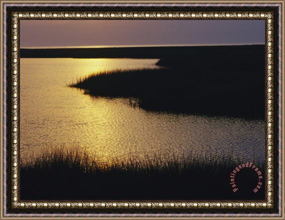 Raymond Gehman Twilight on a Marsh with Aquatic Grasses Framed Painting