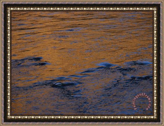 Raymond Gehman Twilight Sun Reflects on The Waters of The Madison River Framed Painting