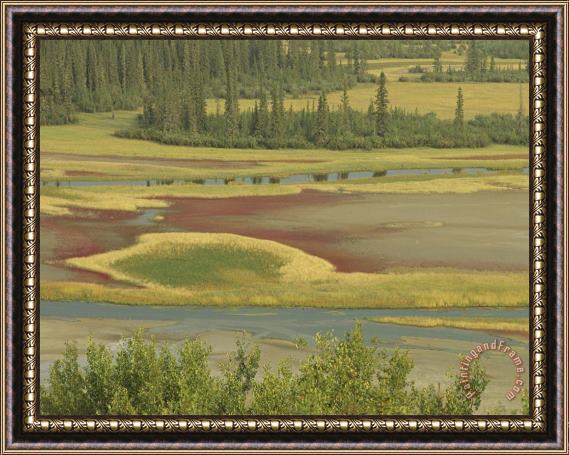 Raymond Gehman Underground Streams Emerge at The Salt Plains in The Park Framed Painting