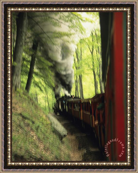 Raymond Gehman View of The Cass Scenic Railroad Train From The Caboose Framed Painting