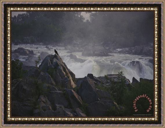 Raymond Gehman View of Waterfalls at Great Falls State Park at Dawn Framed Painting