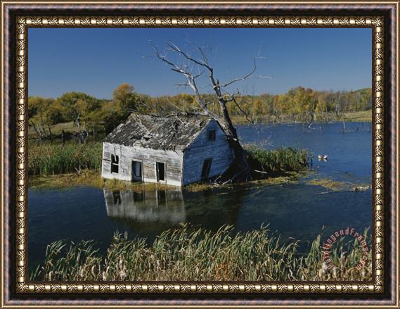 Raymond Gehman Wetland Reclamation of Old Farmland Framed Painting