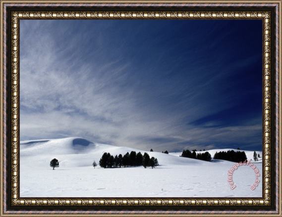 Raymond Gehman Winter Landscape at Hayden Valley Framed Painting