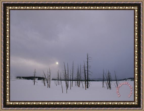 Raymond Gehman Winter Landscape with Trees Killed by Hot Springs Lower Geyser Basin Framed Painting