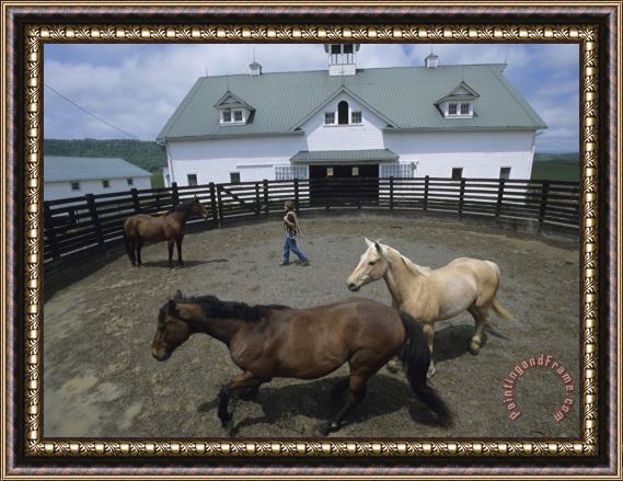 Raymond Gehman Woman with Her Horses in a Fenced Pen Outside The Stables Framed Print
