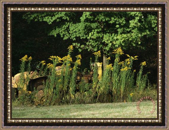 Raymond Gehman Yellow Tractor Hidden Behind Tall Plants Framed Painting