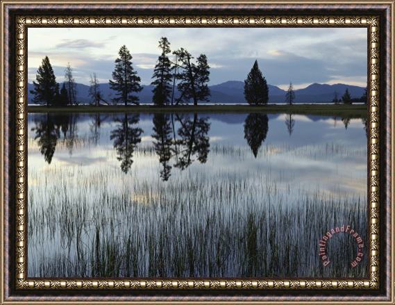 Raymond Gehman Yellowstone Lake at Dawn Yellowstone National Park Wyoming Framed Painting
