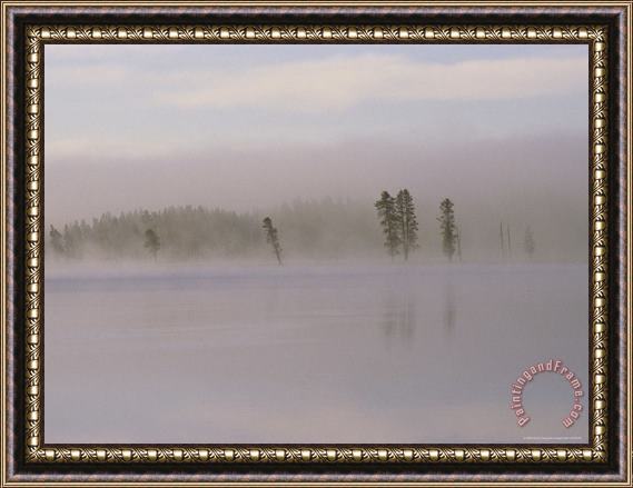 Raymond Gehman Yellowstone River in Dawn Mist Framed Painting