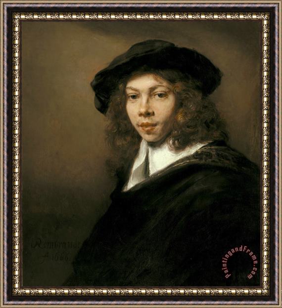 Rembrandt Harmensz van Rijn Young Man in a Black Beret Framed Painting