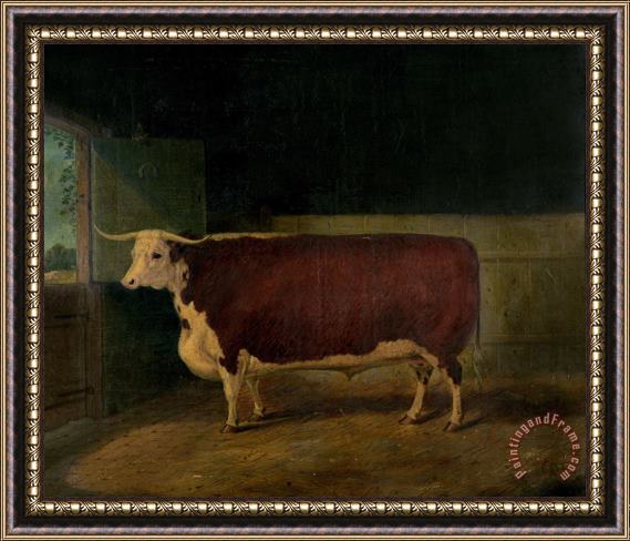 Richard Whitford Portrait of a Prize Hereford Steer Framed Painting